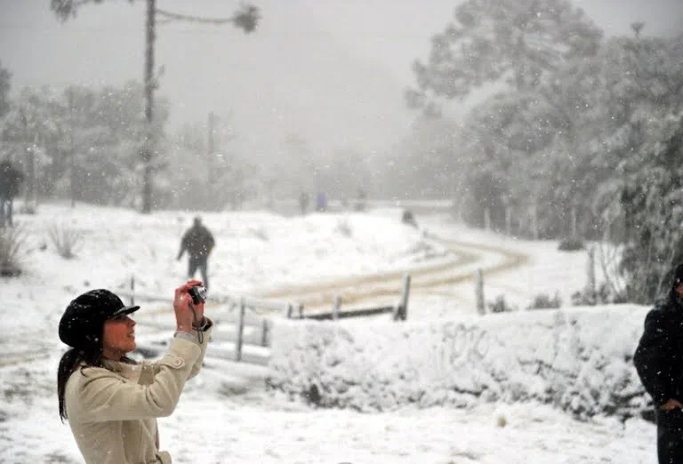 neve-sc