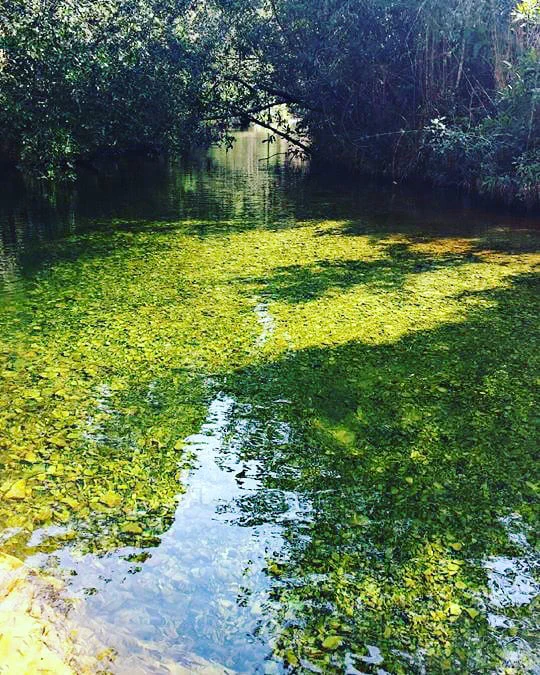 Trilha do Sol em Capitólio em Minas Gerais
