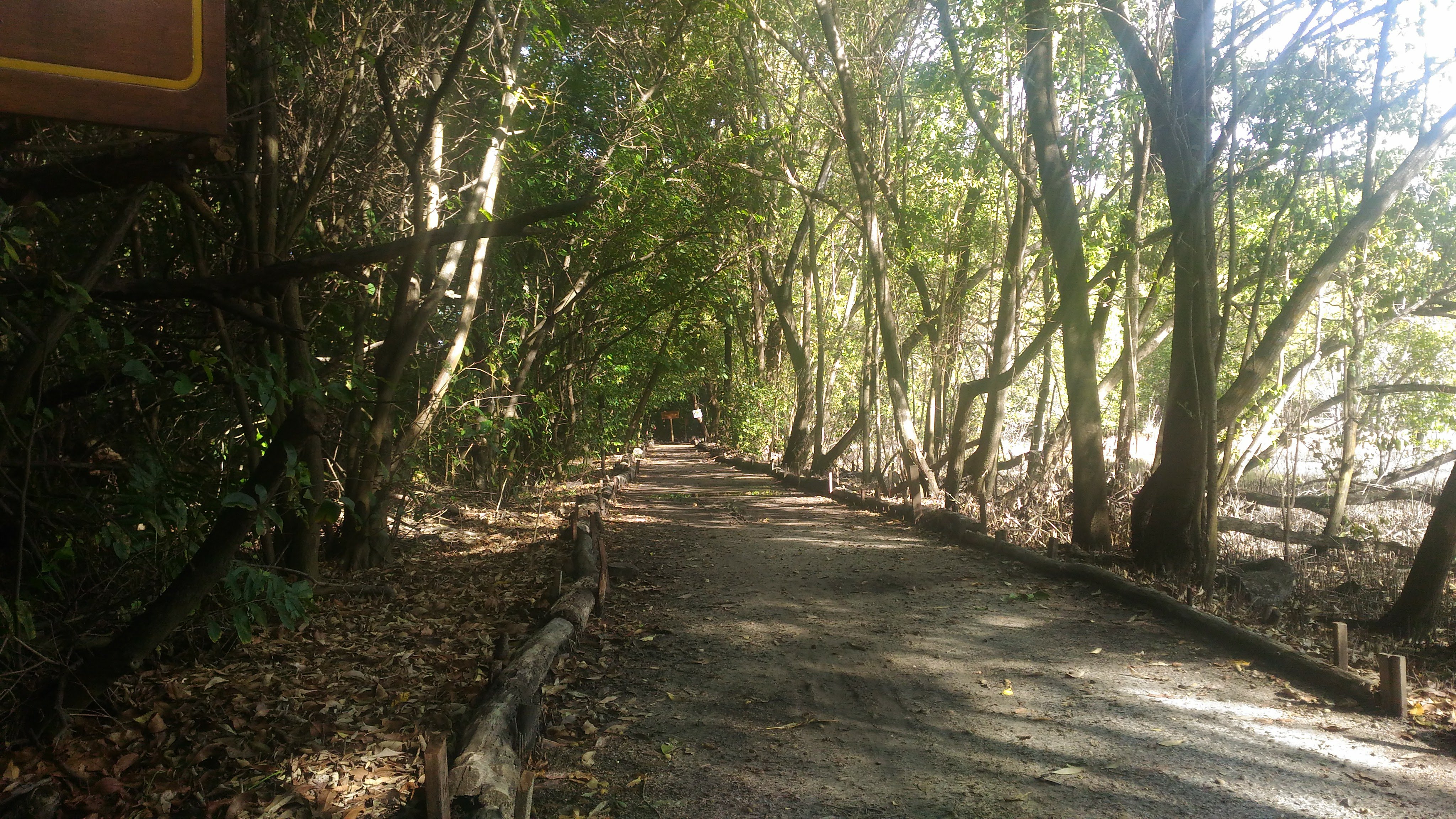Parque Estadual do Cocó 