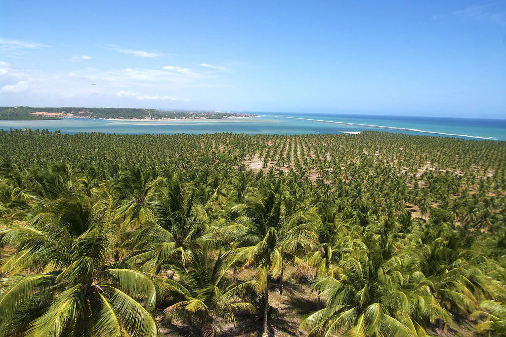Praia do Gunga