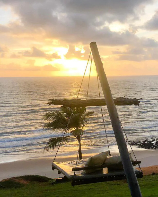 pôr do sol contrastando com o mar e uma palmeira em frente na Praia Tibaú do Sul em
Pipa e Tibau do Sul no Rio Grande do Norte