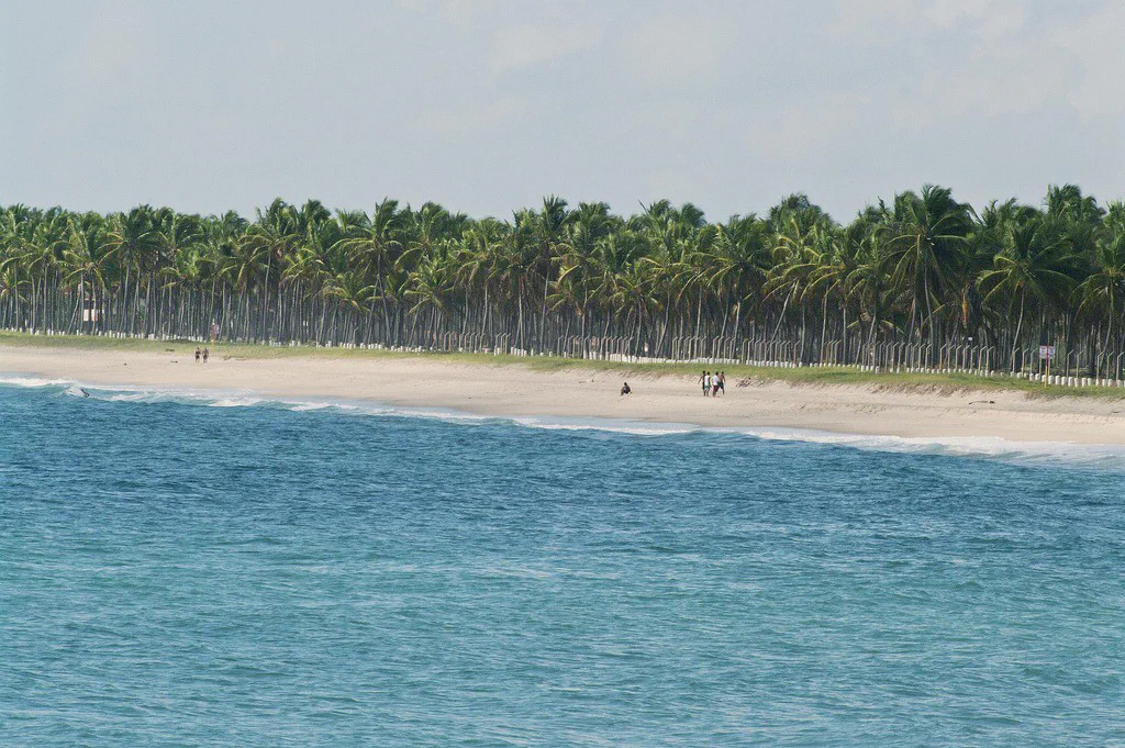 porto de galinhas