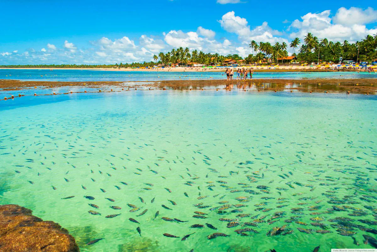 porto de galinhas 