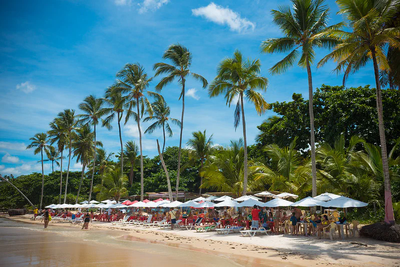 Coqueirais e vários guarda sol com pessoas embaixo na Praia dos Coqueiros em Porto Seguro na Bahia